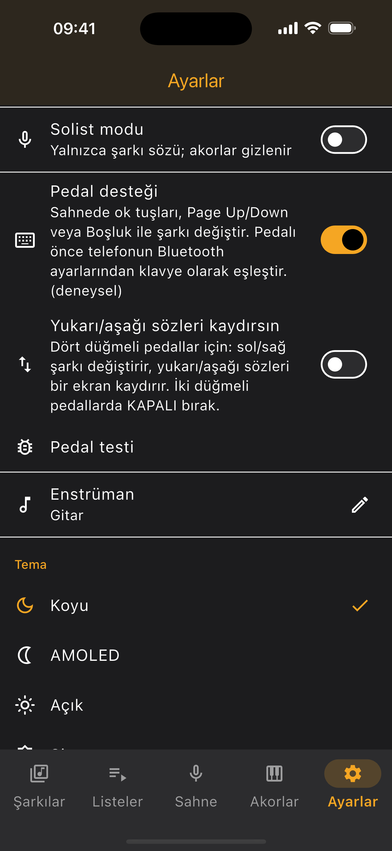 Ayarlar — pedal desteği ve tema